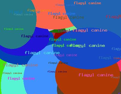 Flagyl Canine